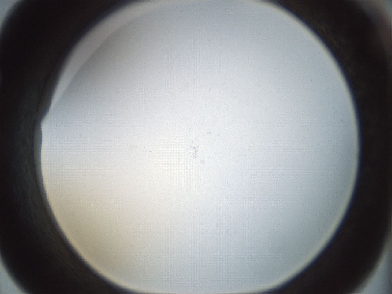 folderID208_plateID1208_batchID3624_wellNum67_profileID1_d1_r68708_ef.jpg