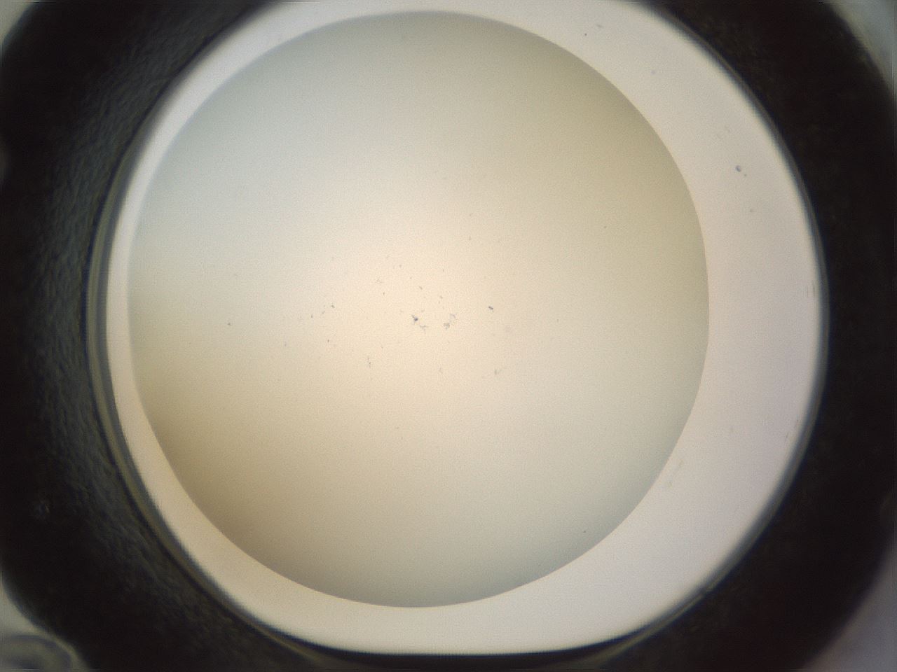 folderID208_plateID1208_batchID3624_wellNum72_profileID1_d1_r68718_ef.jpg