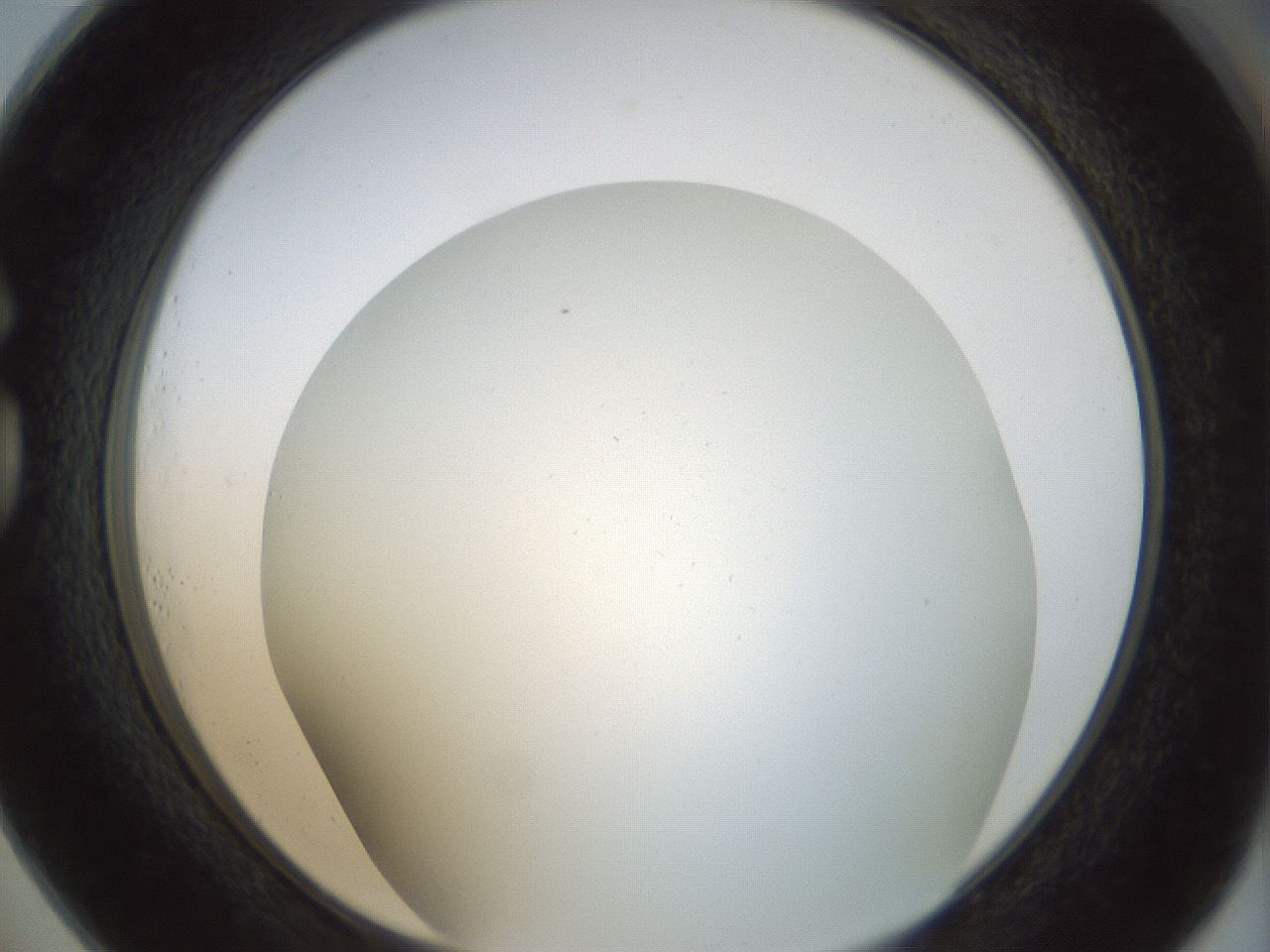 folderID208_plateID1208_batchID3624_wellNum73_profileID1_d1_r68720_ef.jpg