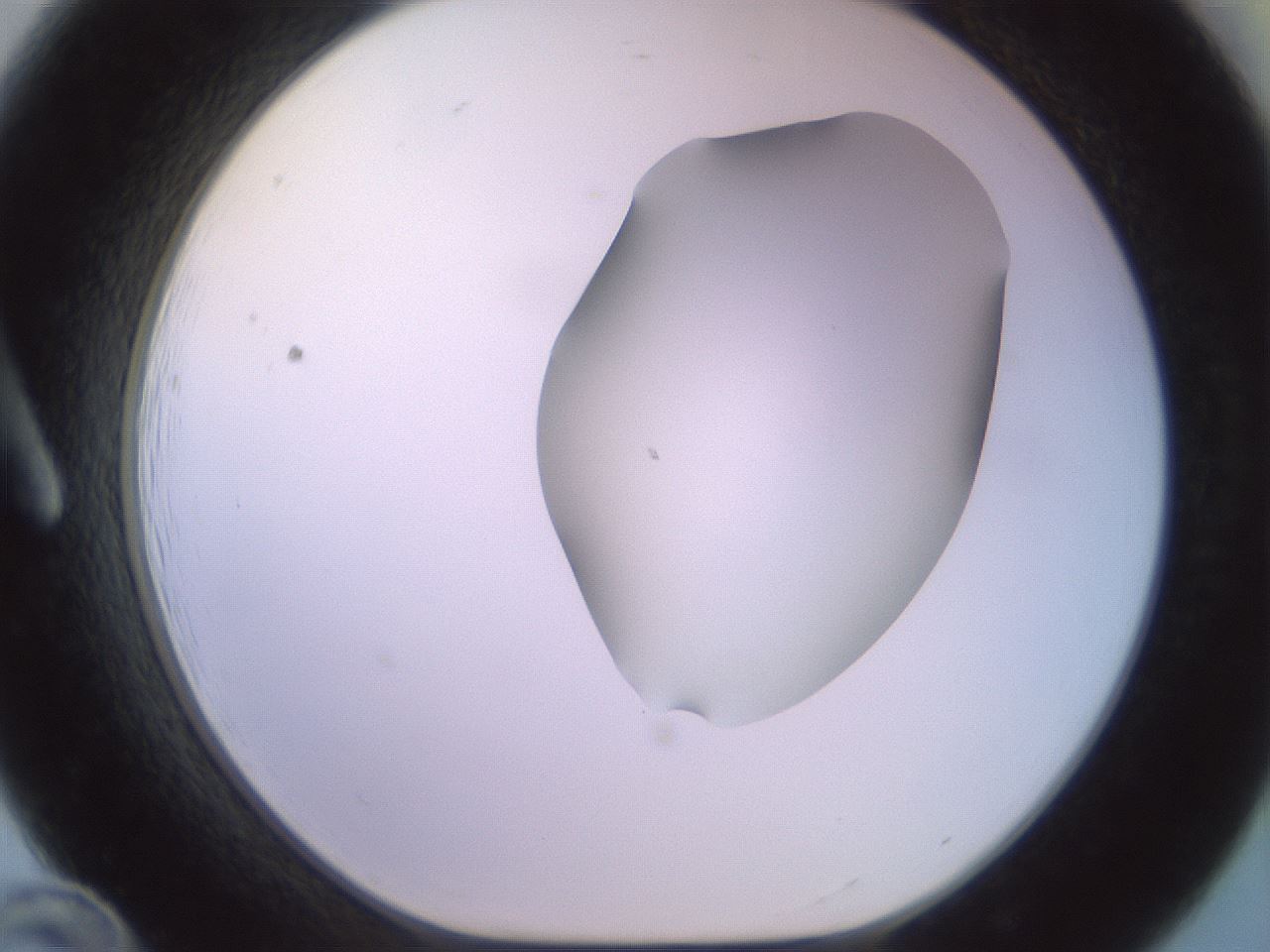 folderID465_plateID2465_batchID12053_wellNum12_profileID1_d1_r186631_ef.jpg