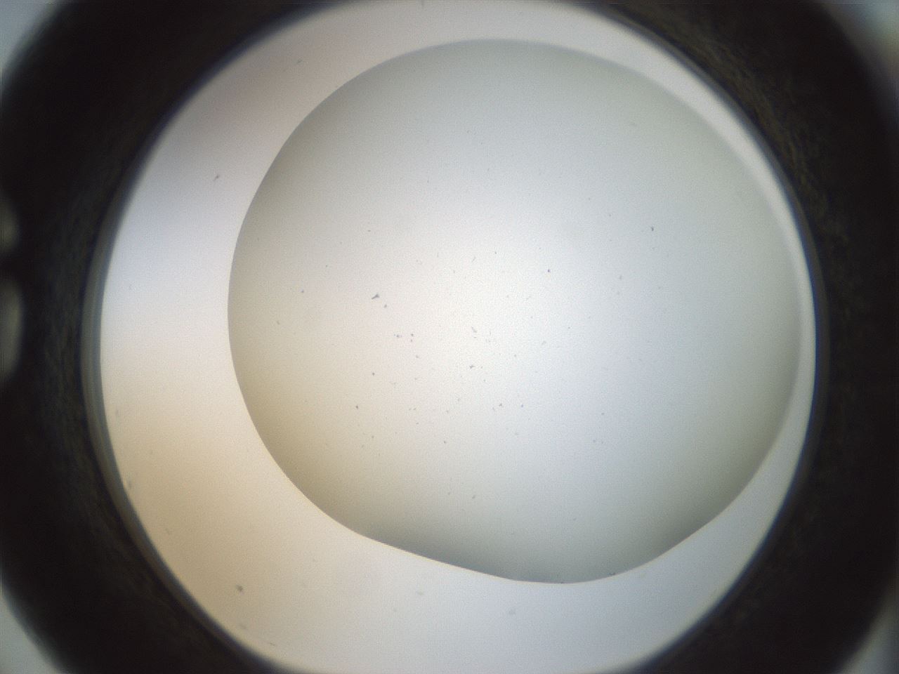 folderID208_plateID1208_batchID3624_wellNum75_profileID1_d1_r68724_ef.jpg