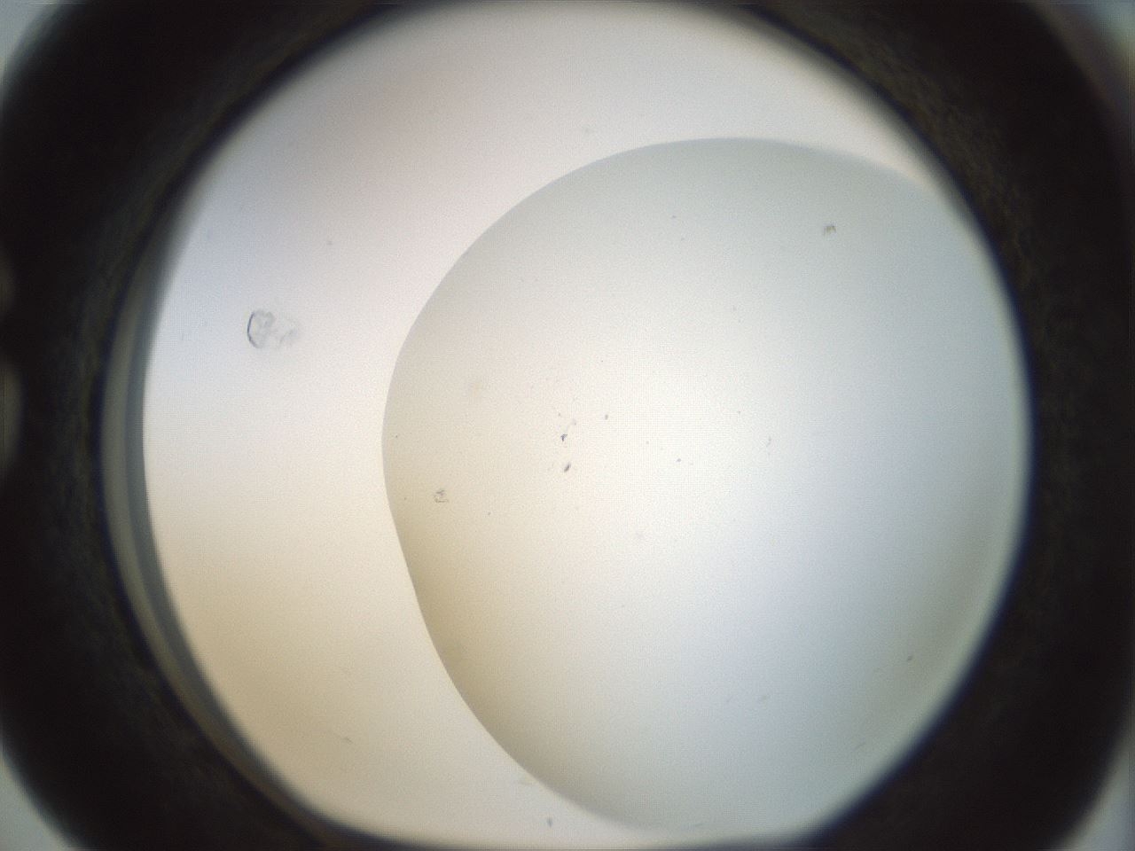 folderID208_plateID1208_batchID3624_wellNum76_profileID1_d1_r68726_ef.jpg