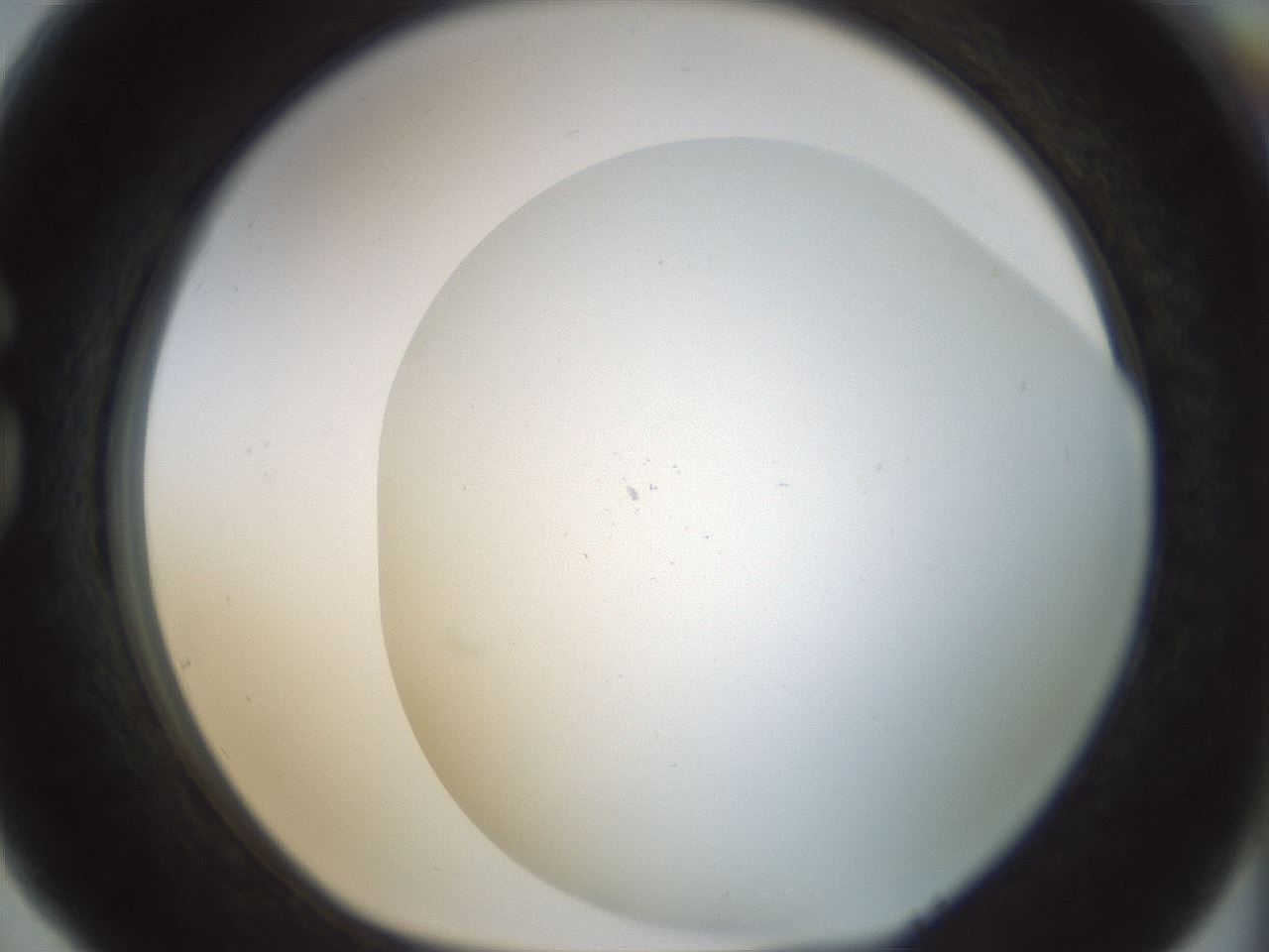 folderID208_plateID1208_batchID3624_wellNum77_profileID1_d1_r68728_ef.jpg