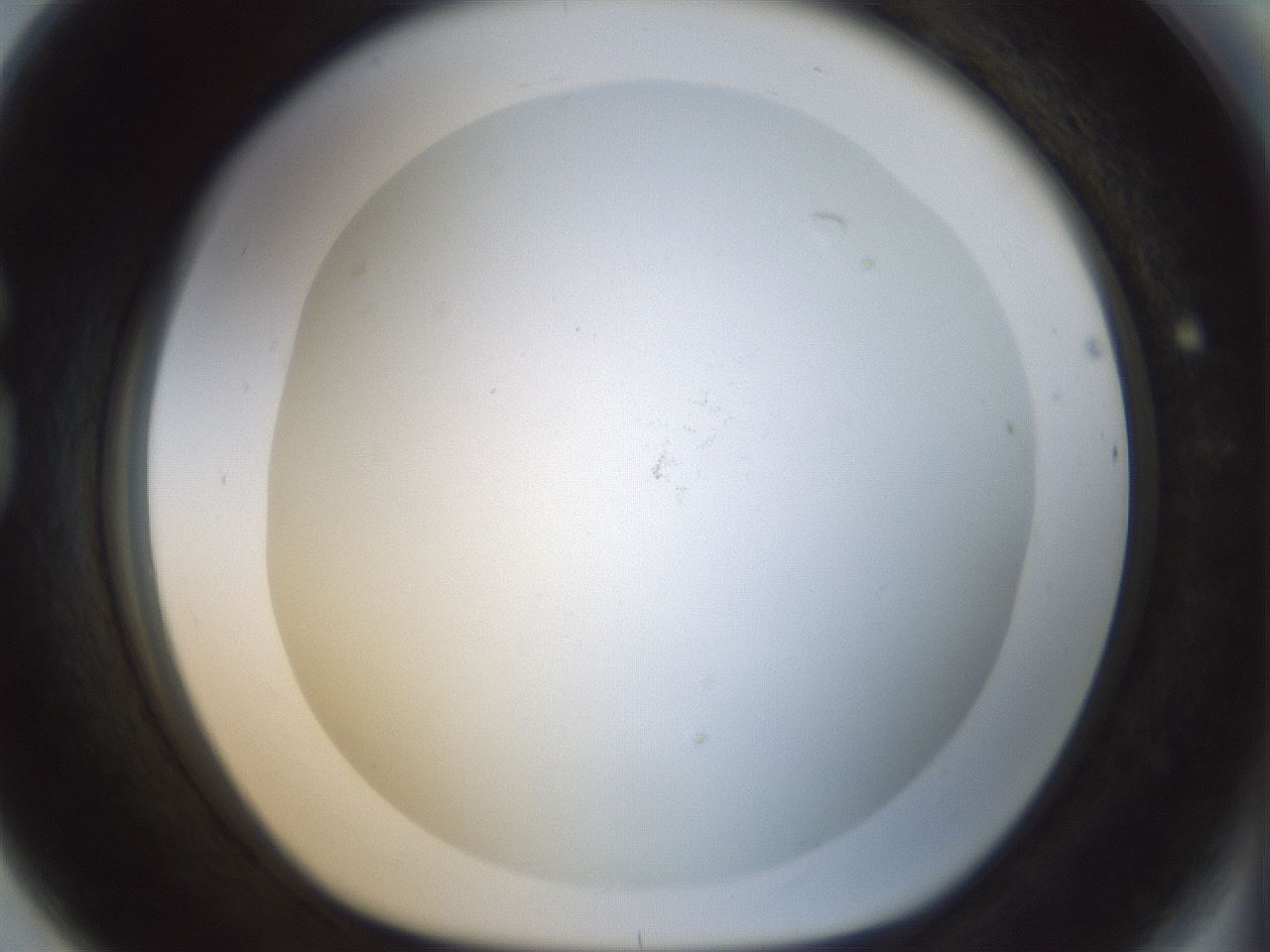 folderID208_plateID1208_batchID3624_wellNum80_profileID1_d1_r68734_ef.jpg