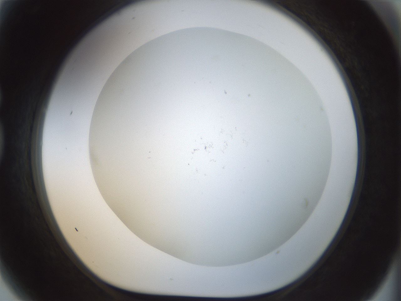 folderID208_plateID1208_batchID3624_wellNum81_profileID1_d1_r68736_ef.jpg