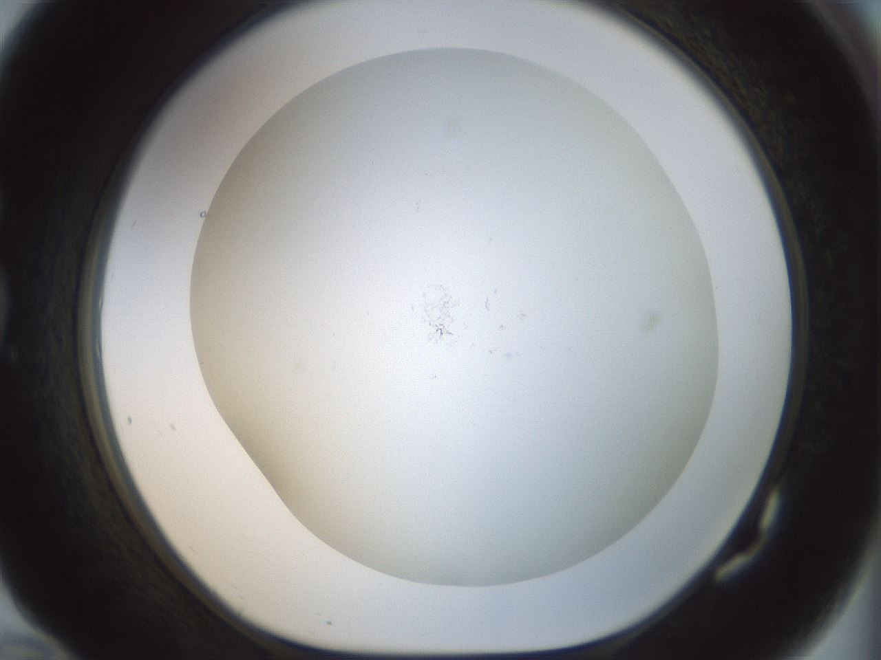 folderID208_plateID1208_batchID3624_wellNum82_profileID1_d1_r68738_ef.jpg
