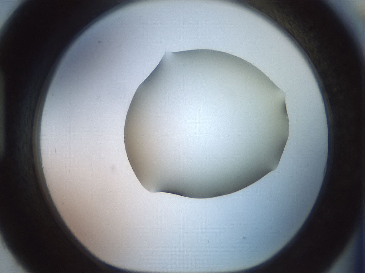 folderID465_plateID2465_batchID12053_wellNum93_profileID1_d1_r186712_ef.jpg