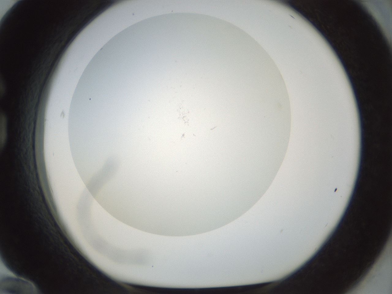folderID208_plateID1208_batchID3624_wellNum84_profileID1_d1_r68742_ef.jpg