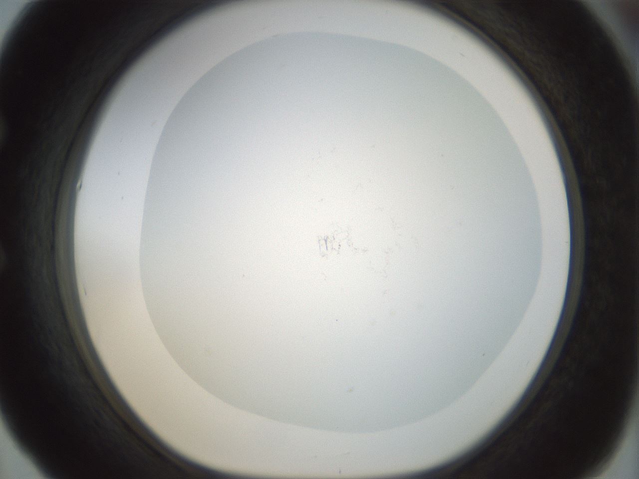 folderID208_plateID1208_batchID3661_wellNum53_profileID1_d1_r68680_ef.jpg