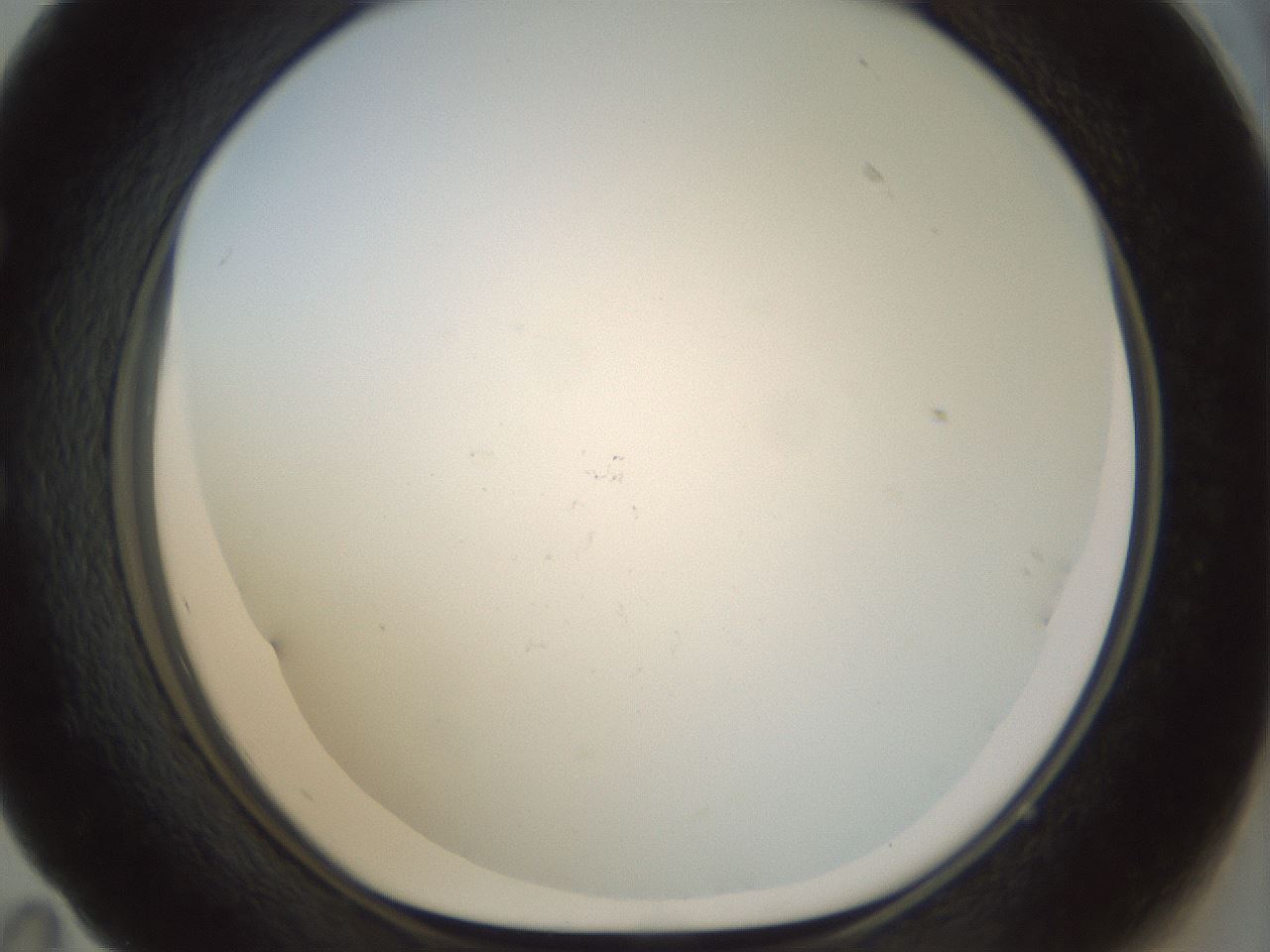 folderID208_plateID1208_batchID3661_wellNum59_profileID1_d1_r68692_ef.jpg