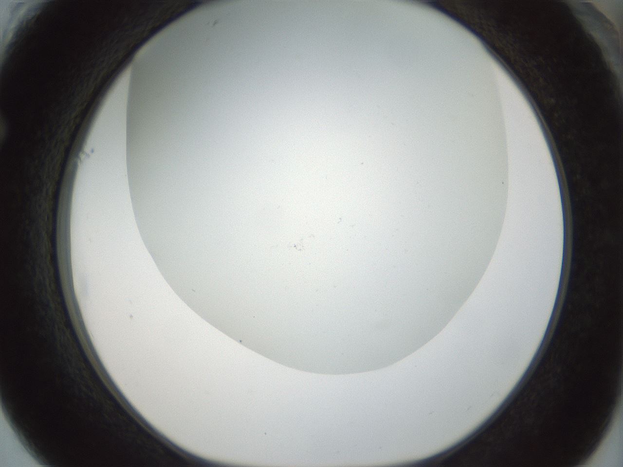 folderID208_plateID1208_batchID3661_wellNum61_profileID1_d1_r68696_ef.jpg