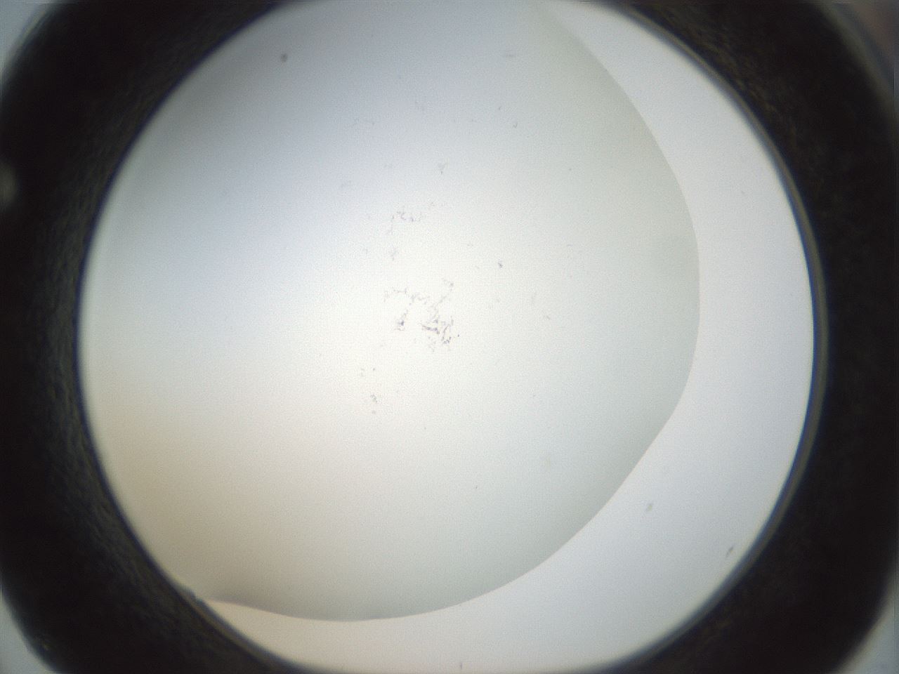 folderID208_plateID1208_batchID3661_wellNum62_profileID1_d1_r68698_ef.jpg