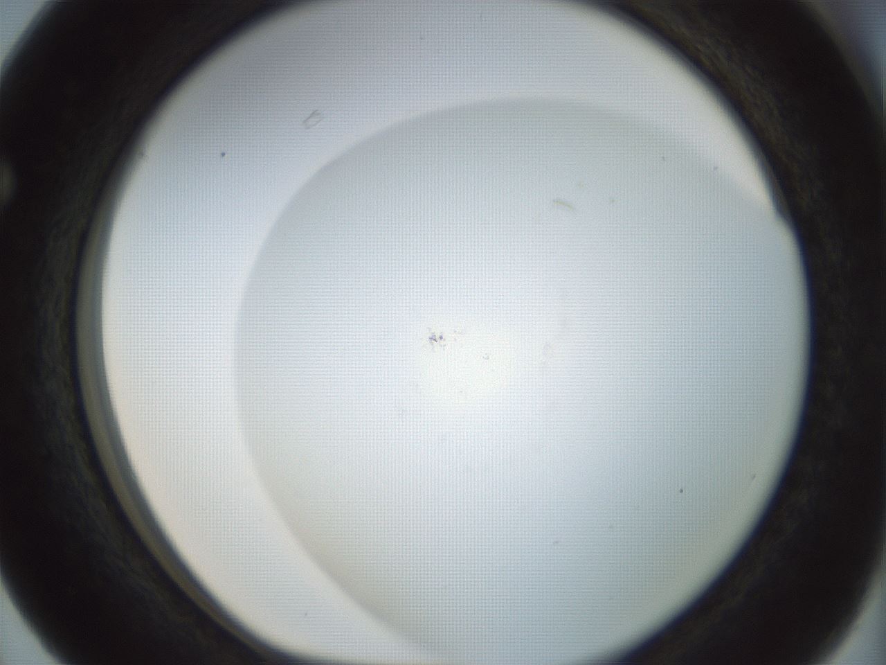 folderID208_plateID1208_batchID3661_wellNum63_profileID1_d1_r68700_ef.jpg