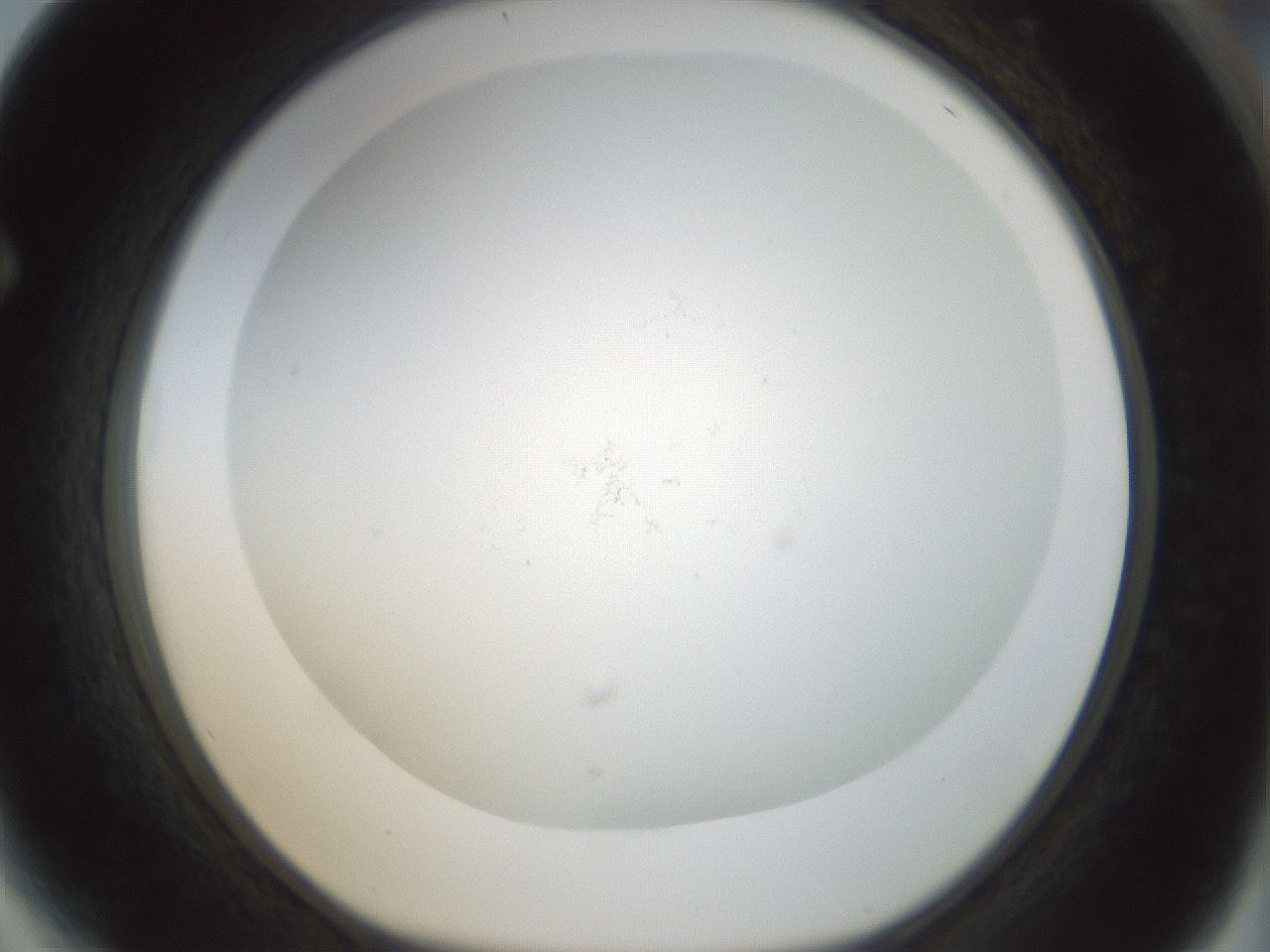 folderID208_plateID1208_batchID3661_wellNum64_profileID1_d1_r68702_ef.jpg