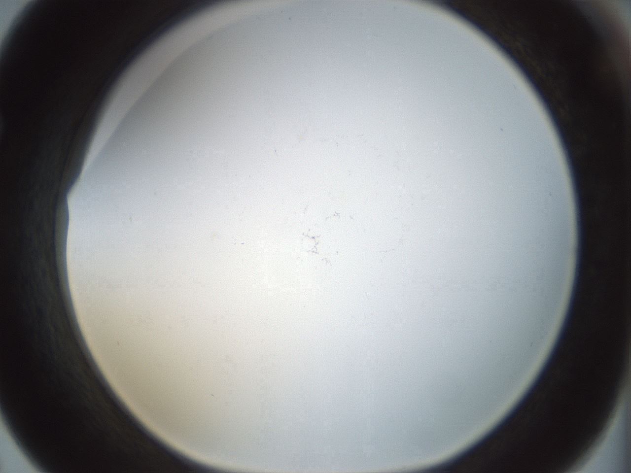 folderID208_plateID1208_batchID3661_wellNum67_profileID1_d1_r68708_ef.jpg