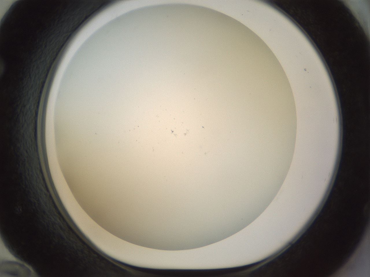 folderID208_plateID1208_batchID3661_wellNum72_profileID1_d1_r68718_ef.jpg