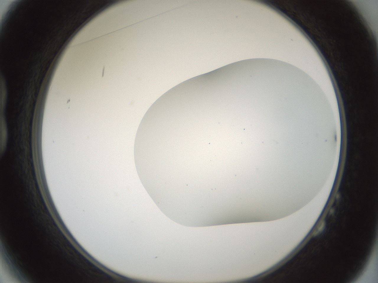 folderID468_plateID1468_batchID5686_wellNum14_profileID1_d1_r92931_ef.jpg