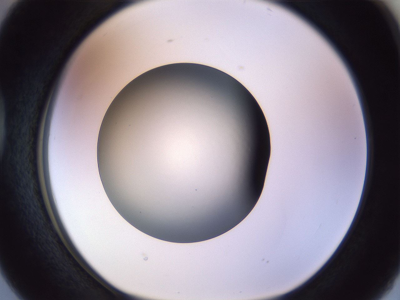 folderID470_plateID1470_batchID5625_wellNum38_profileID1_d1_r93039_ef.jpg