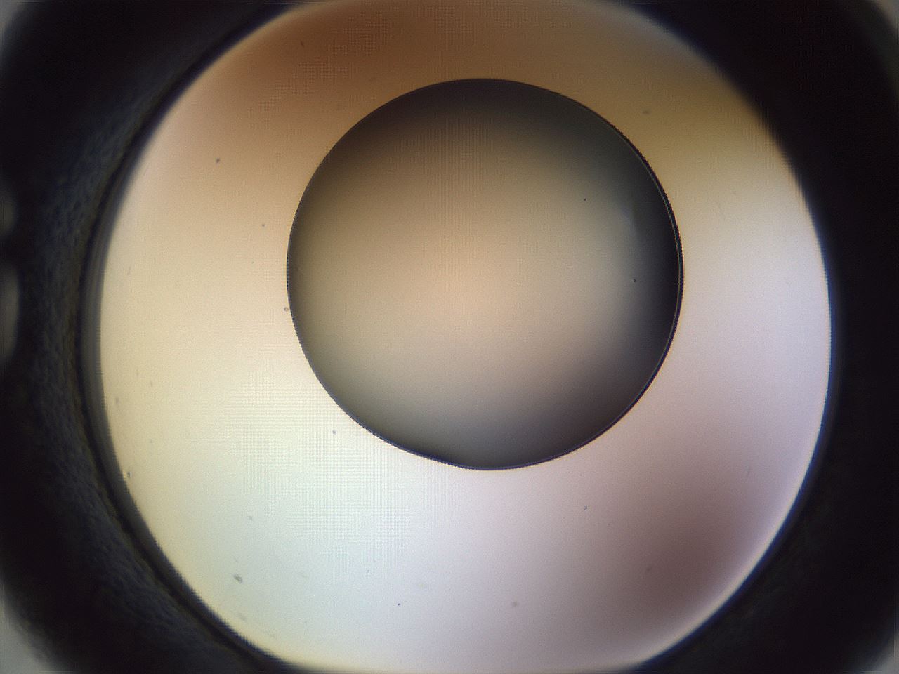 folderID470_plateID1470_batchID5673_wellNum75_profileID1_d1_r93113_ef.jpg