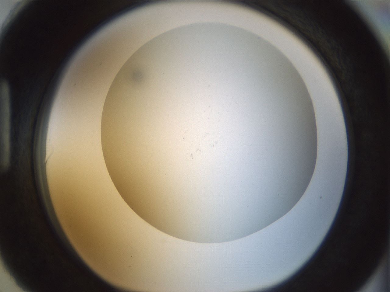 folderID208_plateID1208_batchID3661_wellNum90_profileID1_d1_r68754_ef.jpg