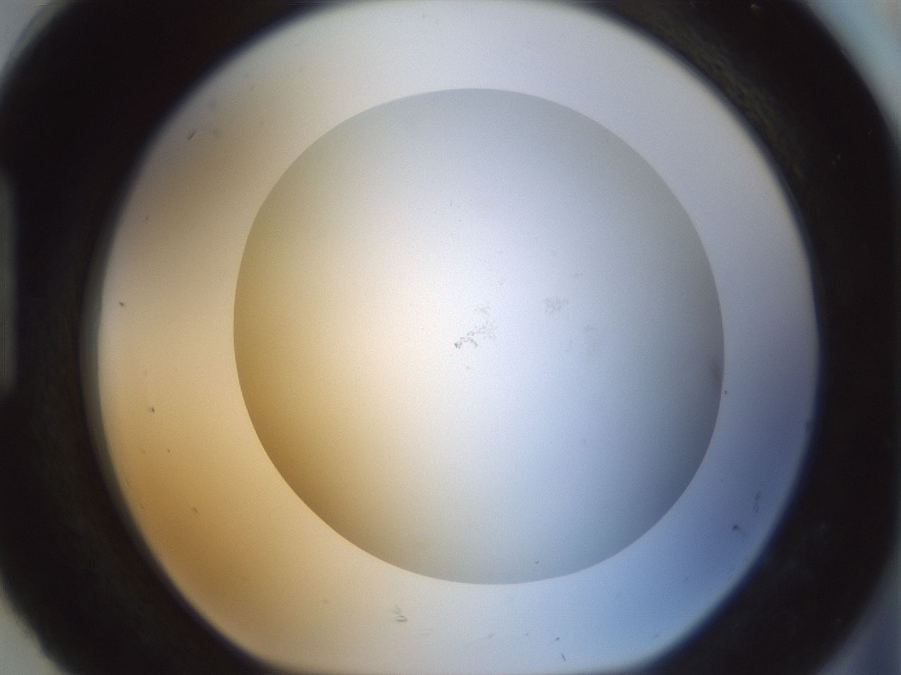 folderID208_plateID1208_batchID3661_wellNum92_profileID1_d1_r68758_ef.jpg