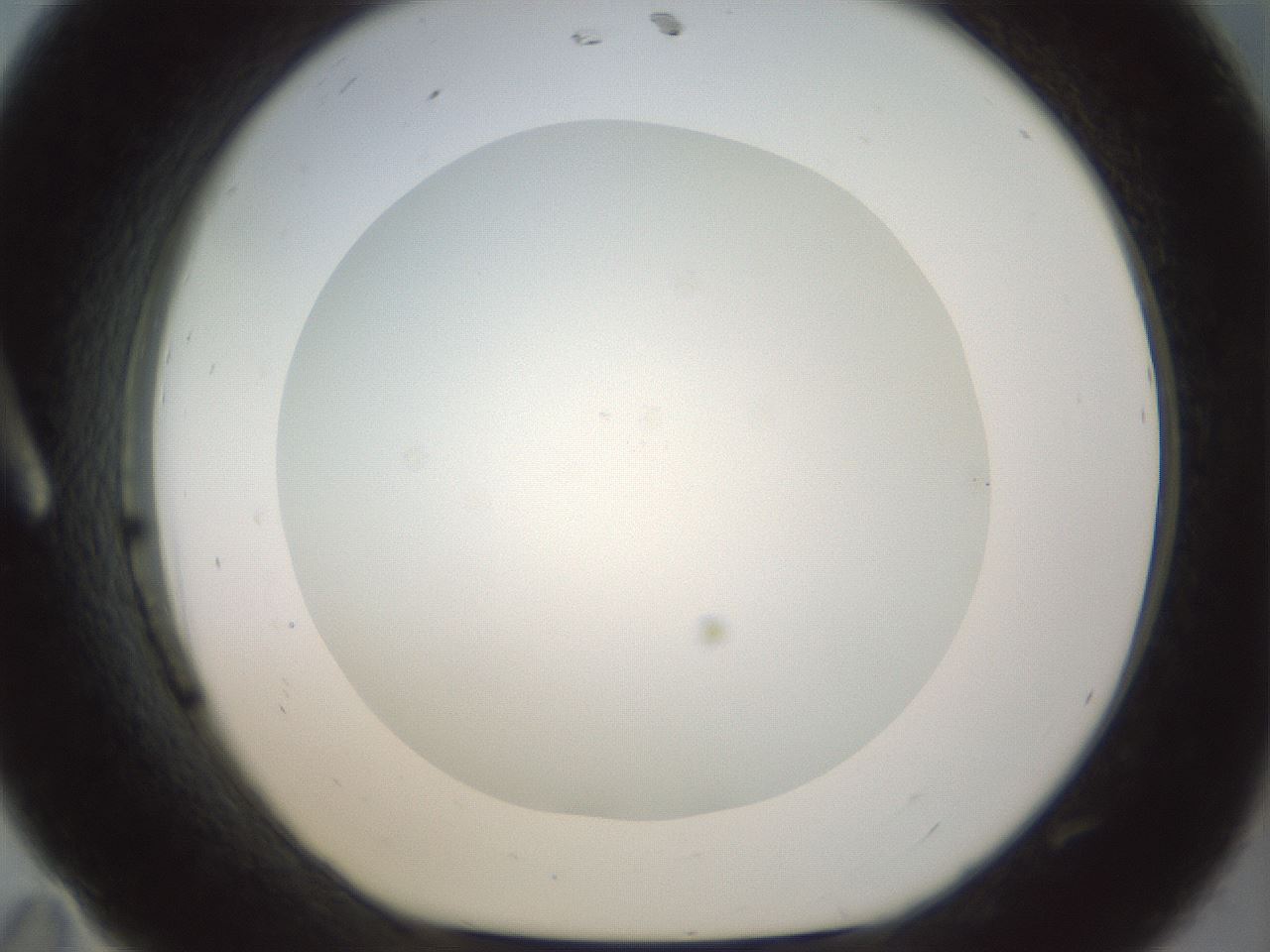 folderID209_plateID1209_batchID3627_wellNum11_profileID1_d1_r69172_ef.jpg
