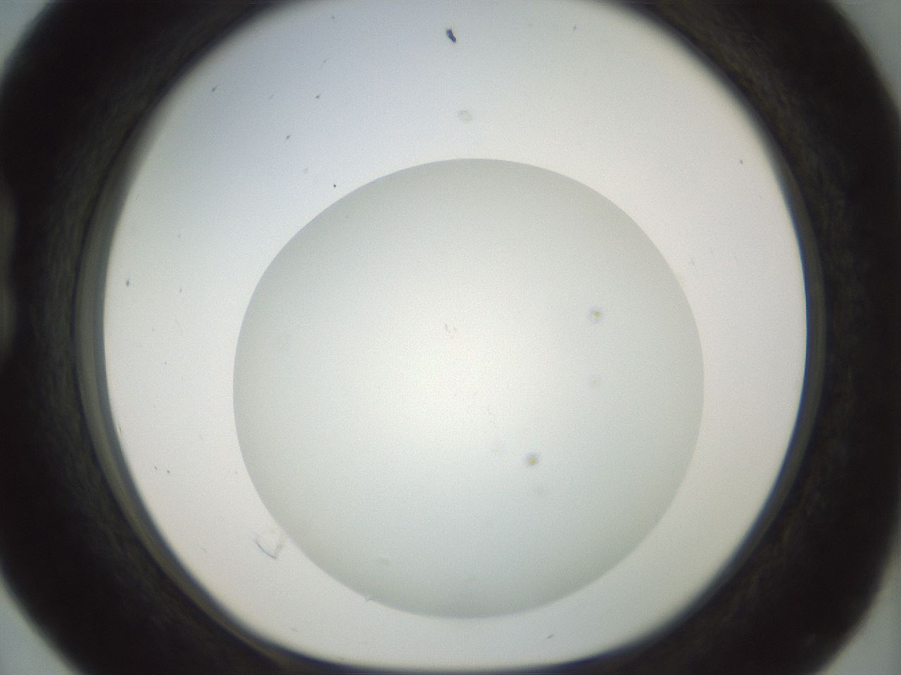 folderID209_plateID1209_batchID3627_wellNum16_profileID1_d1_r69182_ef.jpg