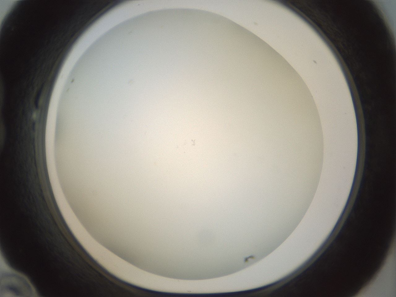 folderID209_plateID1209_batchID3627_wellNum22_profileID1_d1_r69194_ef.jpg