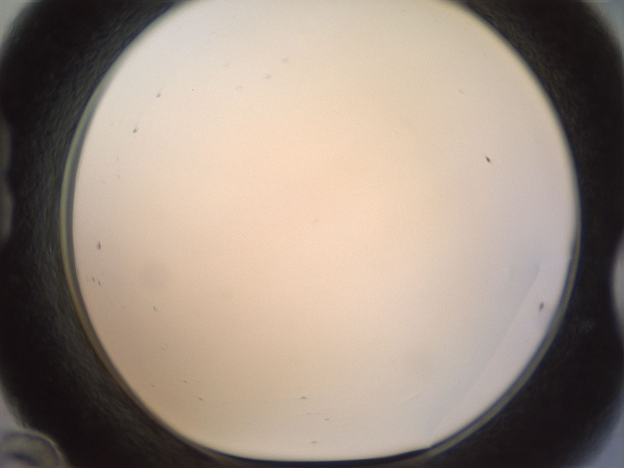 folderID209_plateID1209_batchID3627_wellNum24_profileID1_d1_r69198_ef.jpg