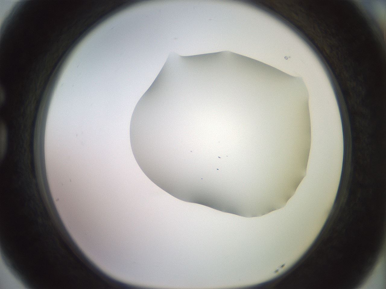 folderID467_plateID2467_batchID12051_wellNum77_profileID1_d1_r186504_ef.jpg