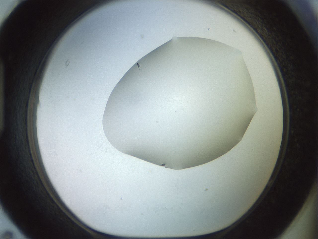 folderID467_plateID2467_batchID12051_wellNum95_profileID1_d1_r186522_ef.jpg