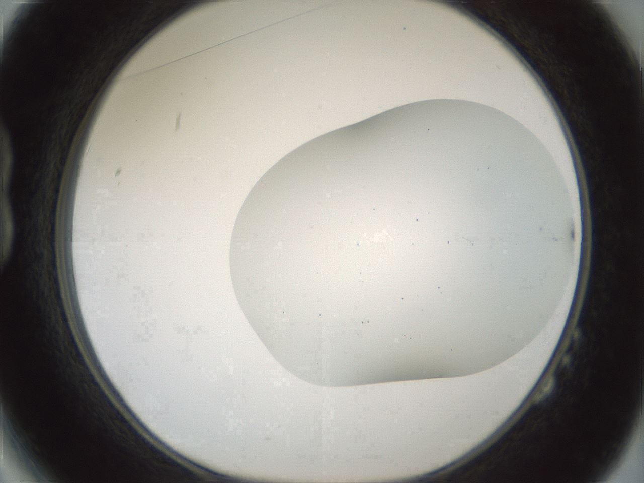 folderID468_plateID1468_batchID5630_wellNum14_profileID1_d1_r92931_ef.jpg