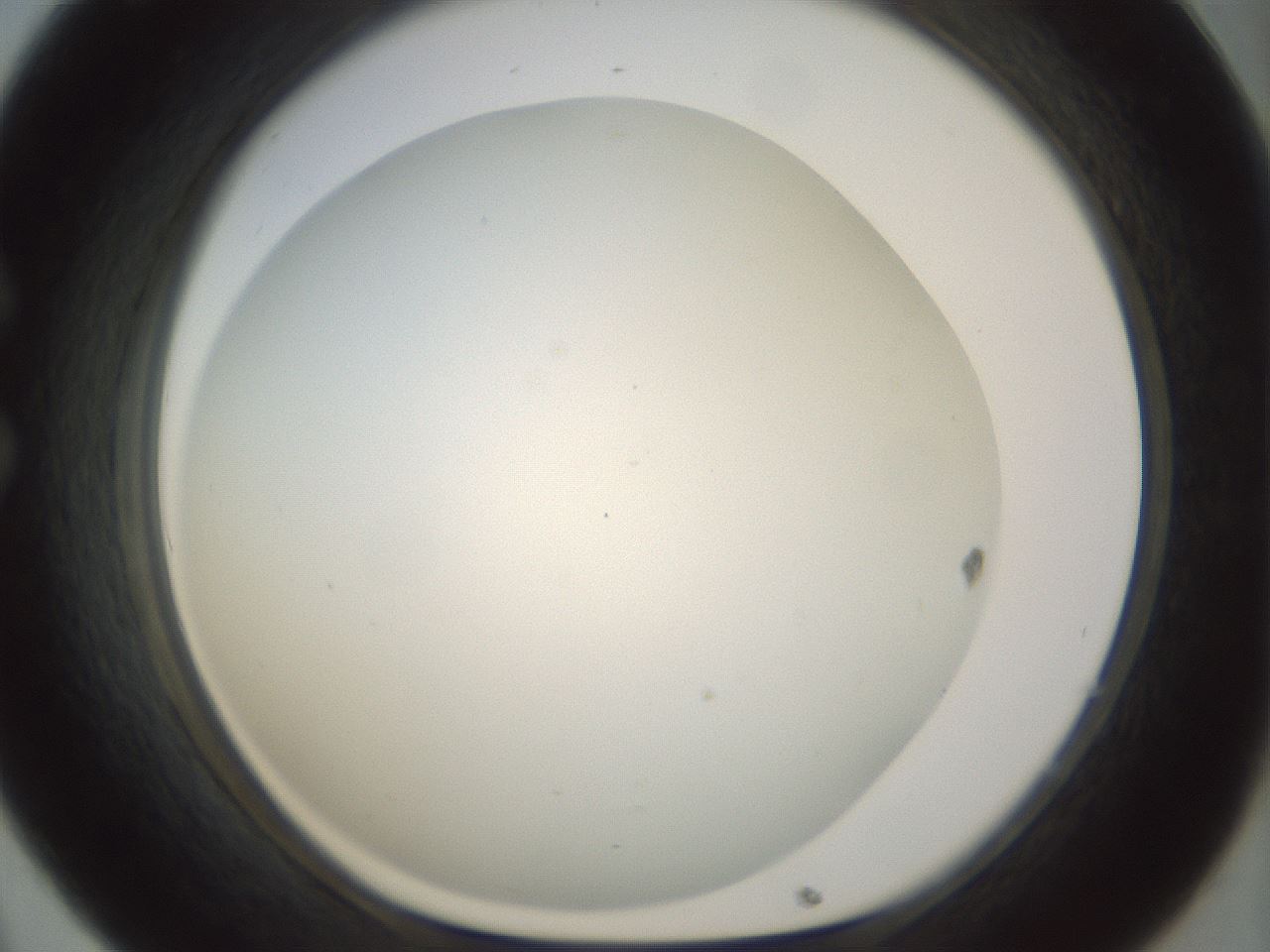 folderID209_plateID1209_batchID3627_wellNum32_profileID1_d1_r69214_ef.jpg