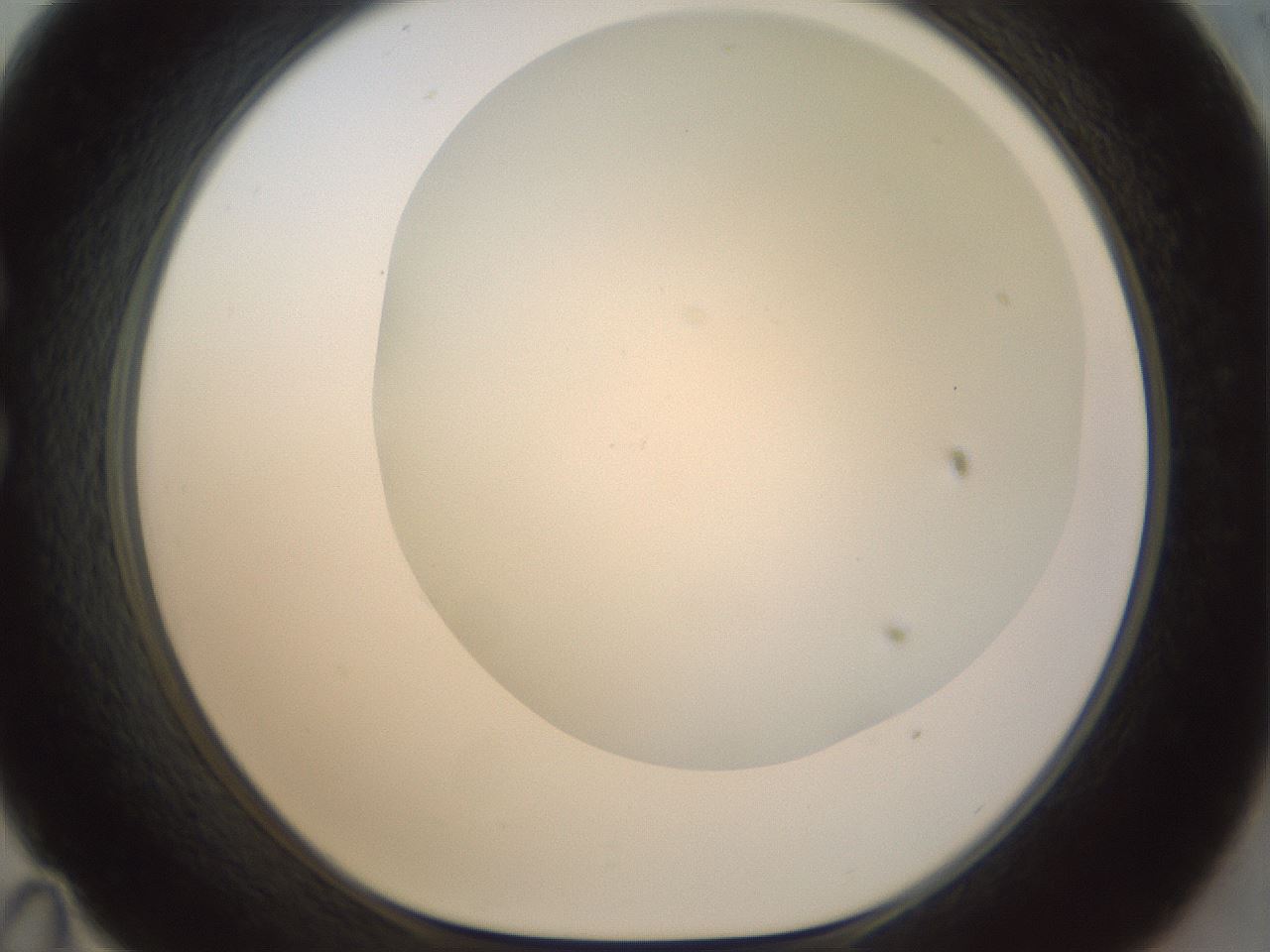 folderID209_plateID1209_batchID3627_wellNum35_profileID1_d1_r69220_ef.jpg
