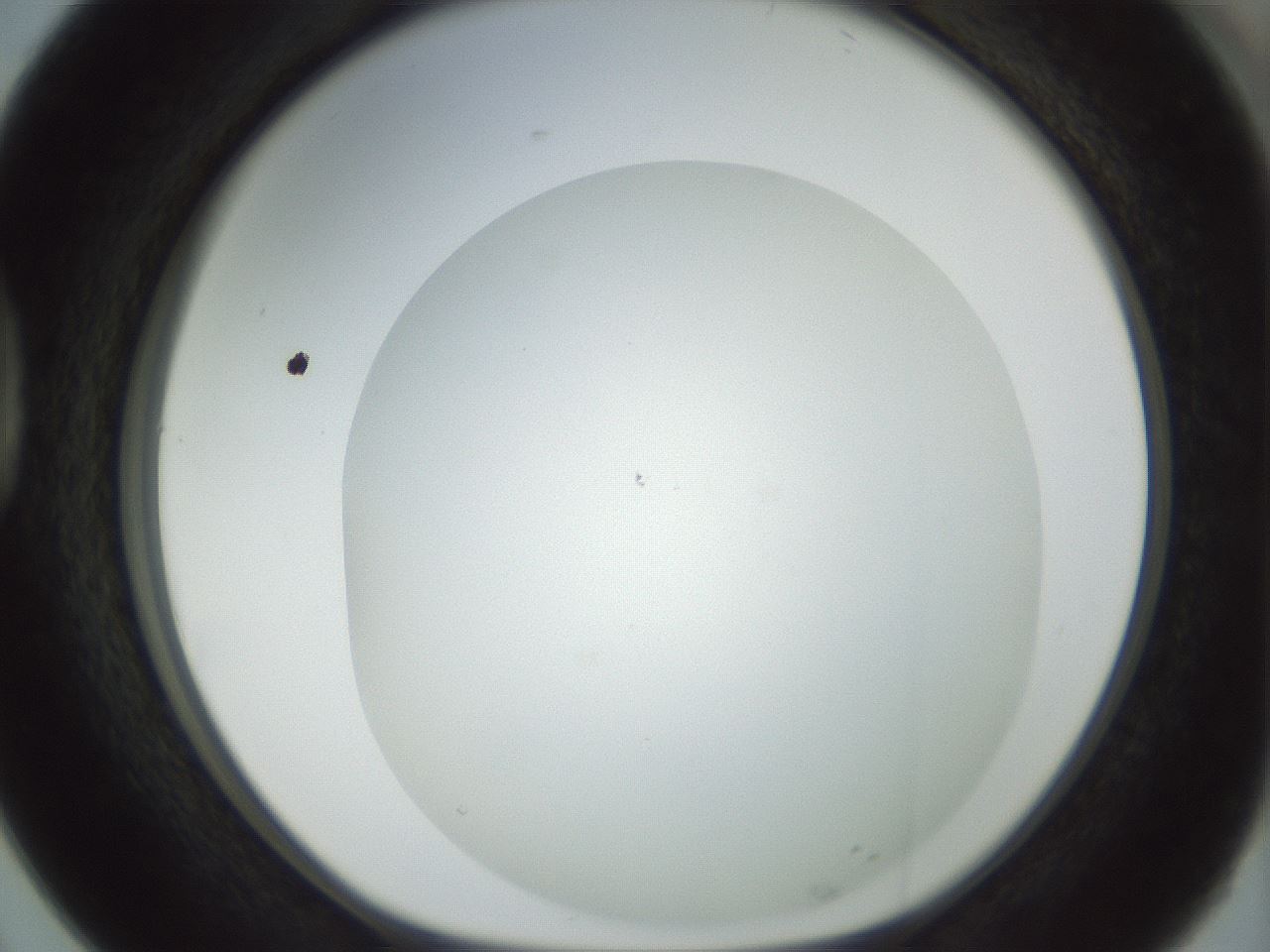 folderID209_plateID1209_batchID3627_wellNum38_profileID1_d1_r69226_ef.jpg