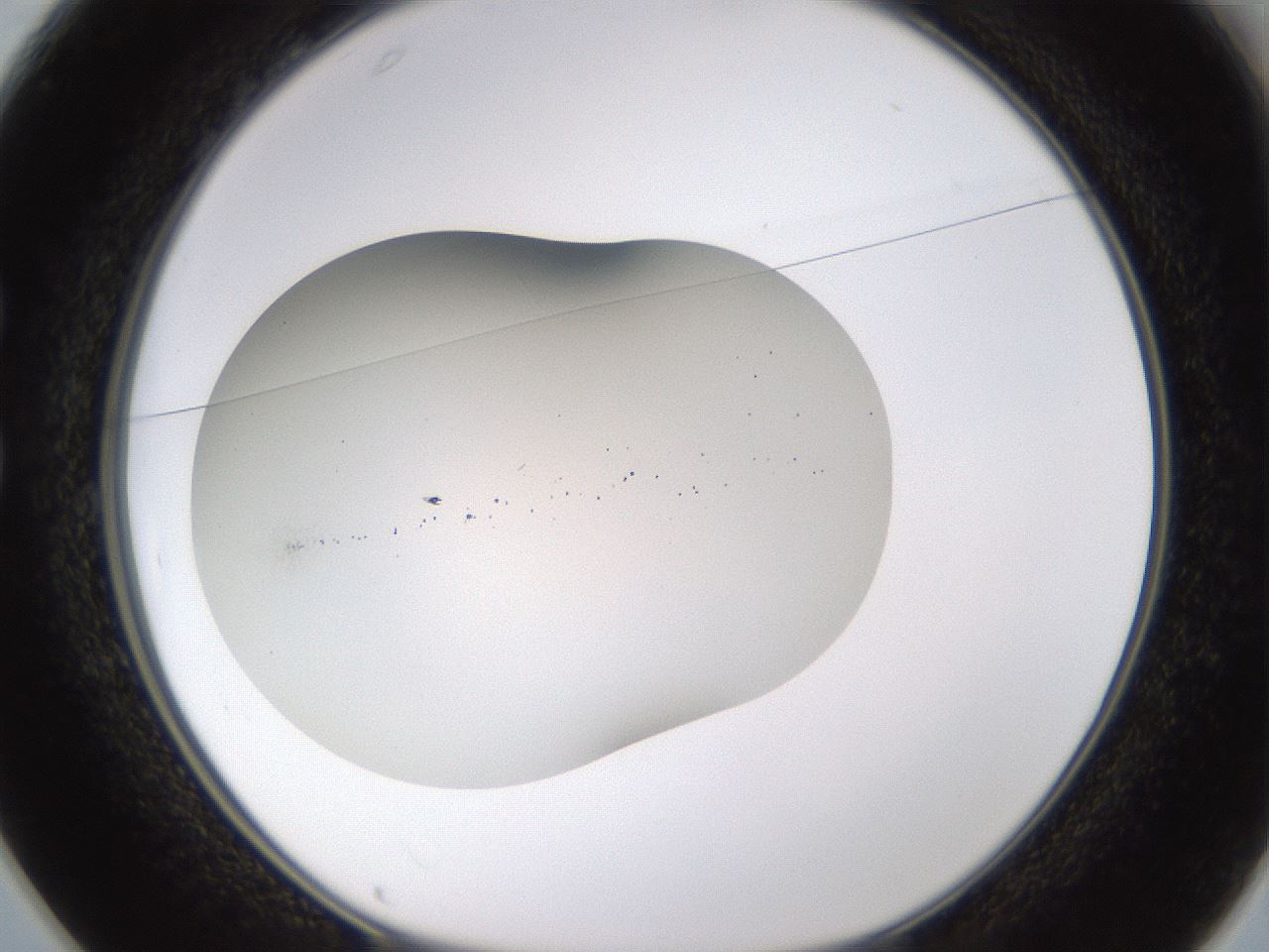 folderID469_plateID1469_batchID5687_wellNum25_profileID1_d1_r92955_ef.jpg
