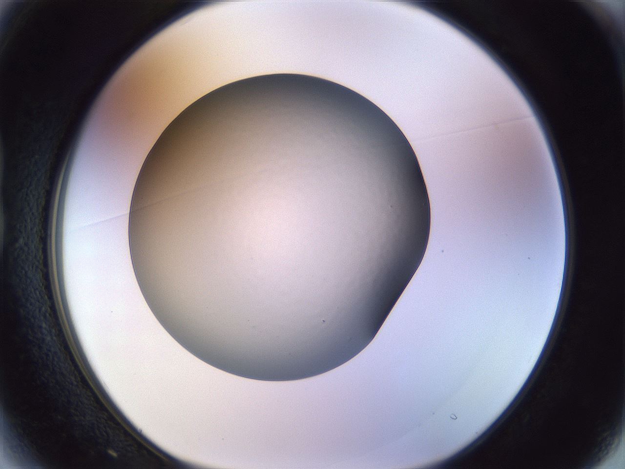 folderID470_plateID1470_batchID5595_wellNum13_profileID1_d1_r92989_ef.jpg
