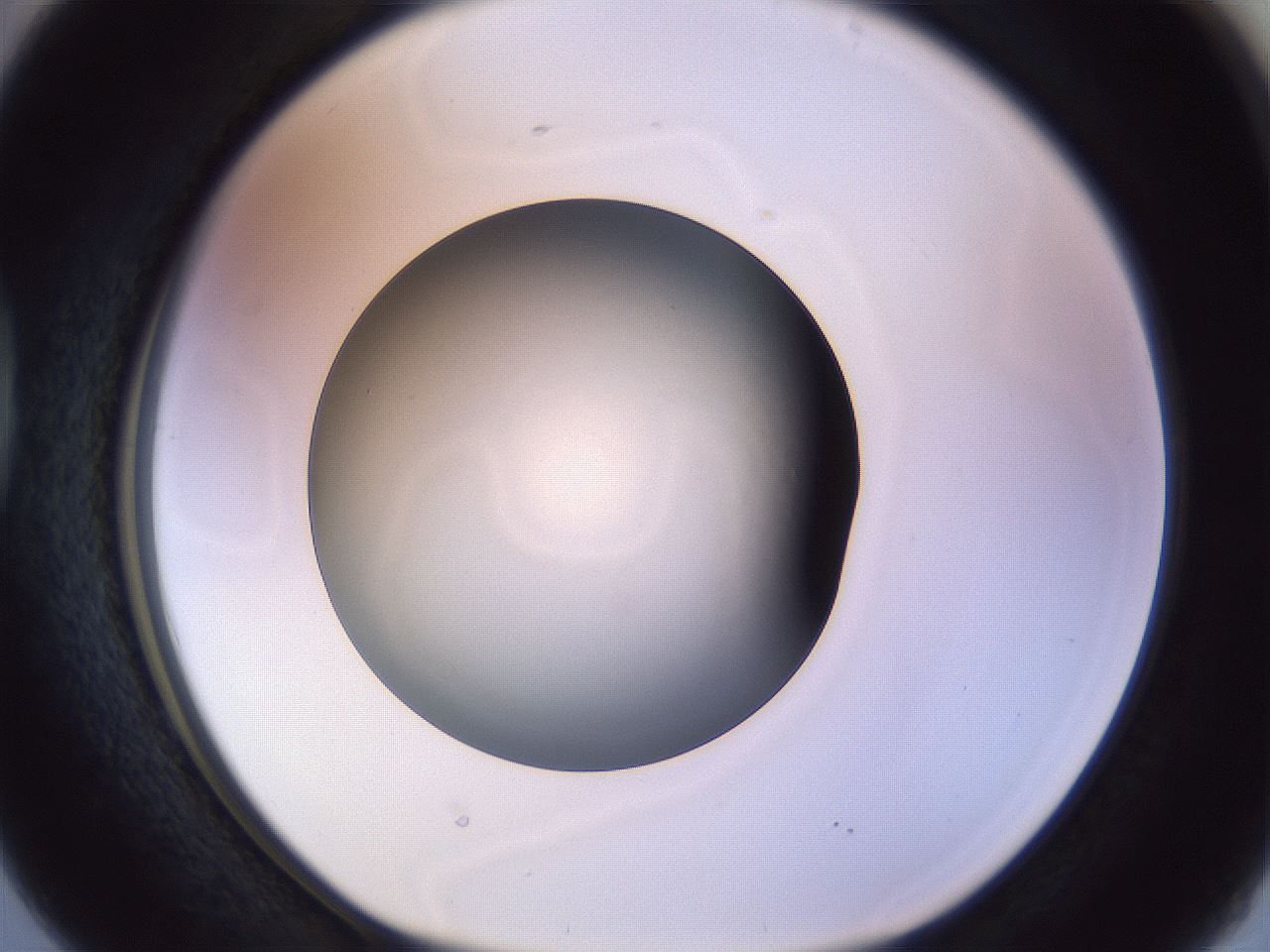 folderID470_plateID1470_batchID5701_wellNum38_profileID1_d1_r93039_ef.jpg