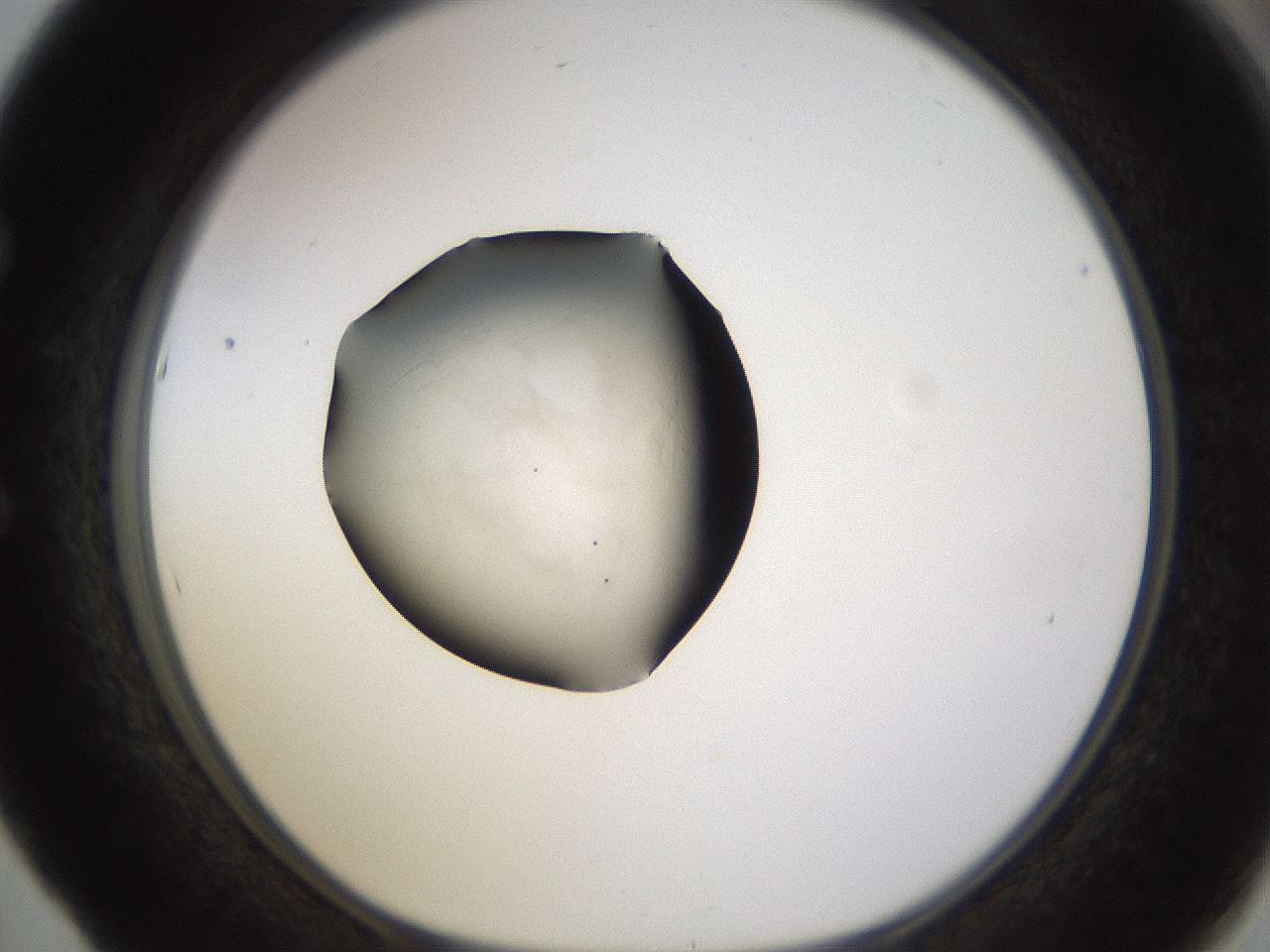 folderID484_plateID1484_batchID5748_wellNum53_profileID1_d1_r94092_ef.jpg