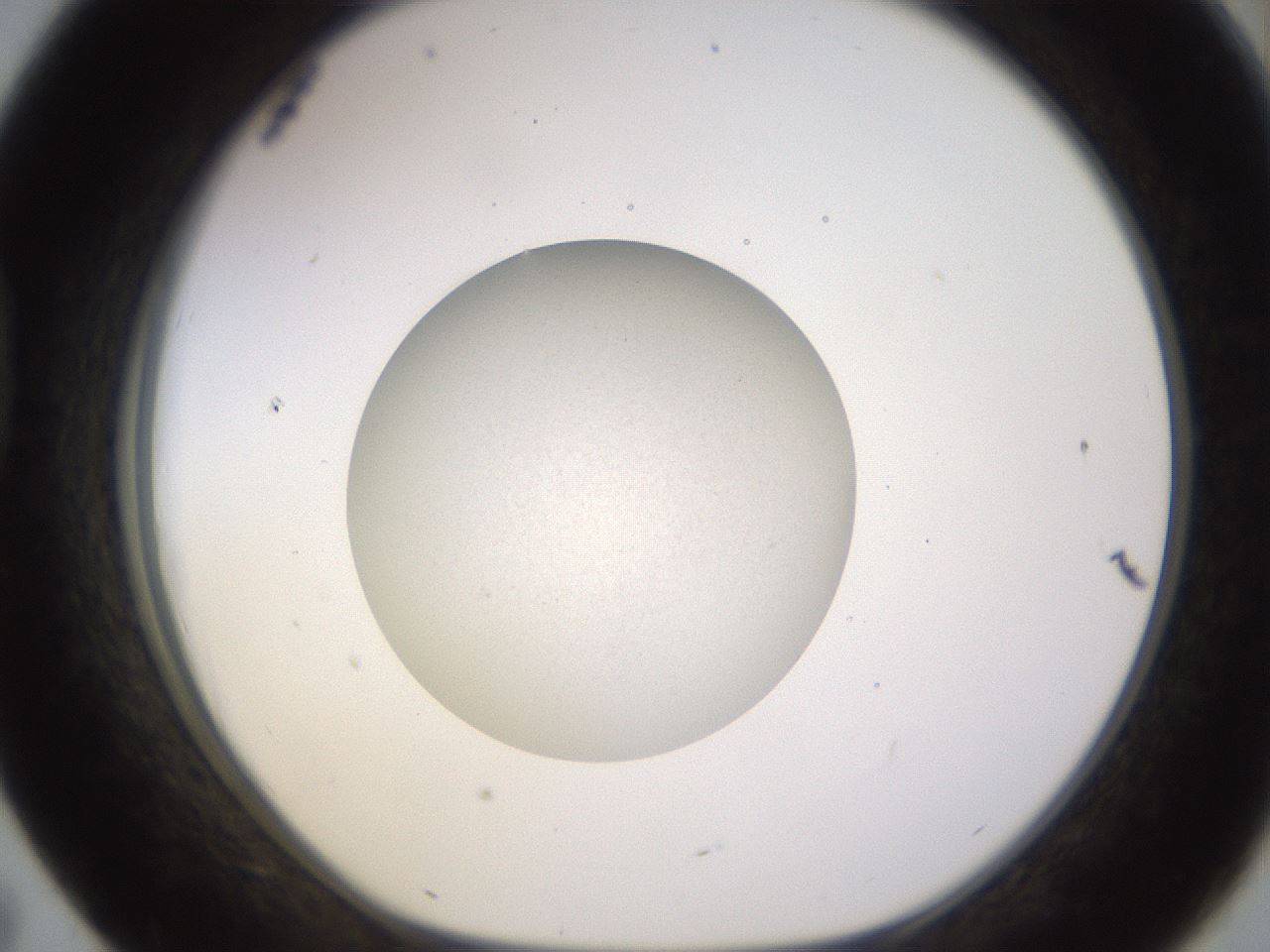 folderID485_plateID1485_batchID5749_wellNum43_profileID1_d1_r94178_ef.jpg