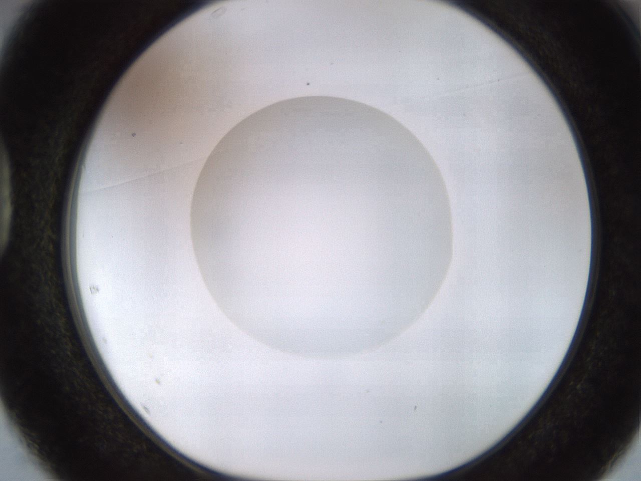 folderID492_plateID1492_batchID5857_wellNum37_profileID1_d1_r94556_ef.jpg