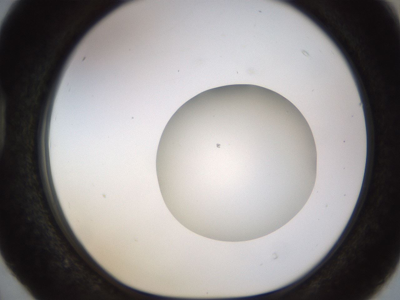 folderID492_plateID1492_batchID5857_wellNum40_profileID1_d1_r94559_ef.jpg