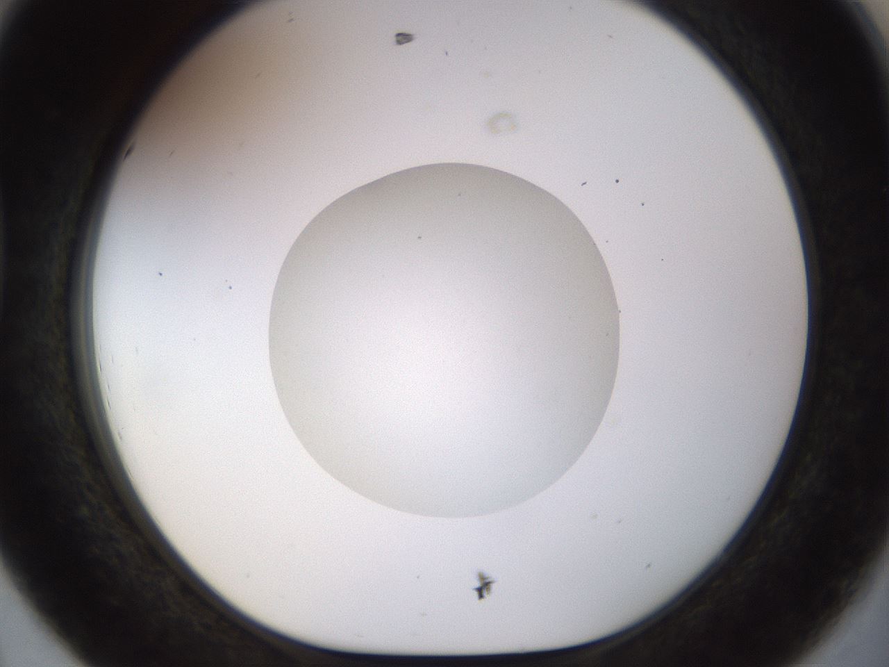 folderID492_plateID1492_batchID5857_wellNum44_profileID1_d1_r94563_ef.jpg