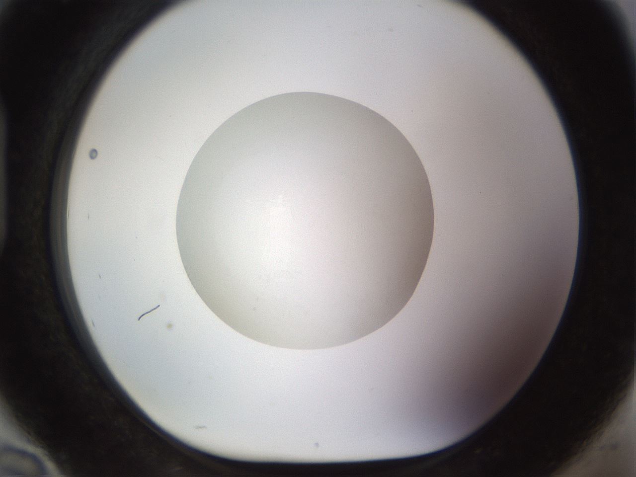 folderID492_plateID1492_batchID5857_wellNum94_profileID1_d1_r94613_ef.jpg