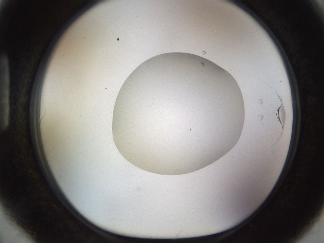 folderID492_plateID1492_batchID5857_wellNum90_profileID1_d1_r94609_ef.jpg