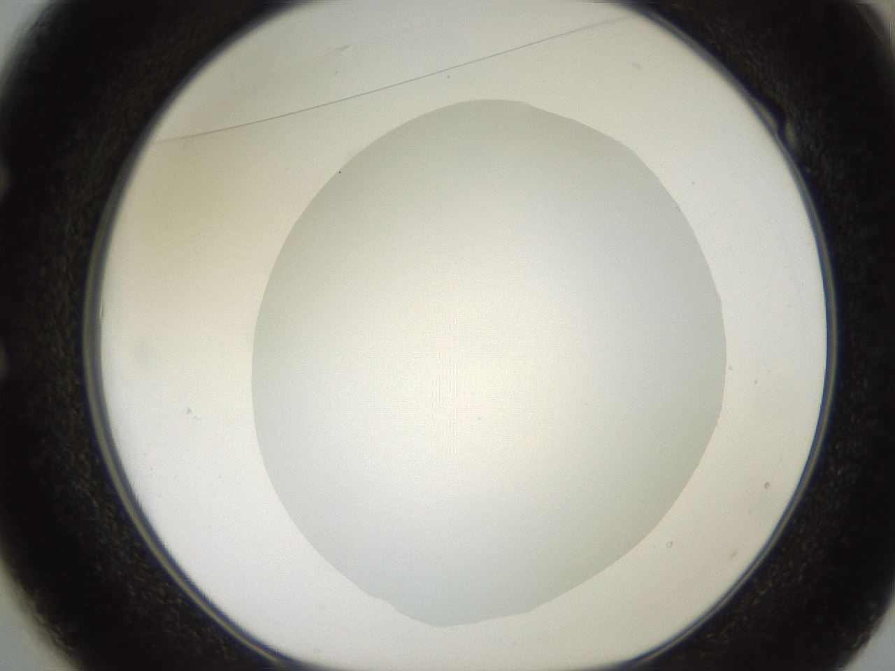 folderID493_plateID2493_batchID12067_wellNum49_profileID1_d1_r187436_ef.jpg