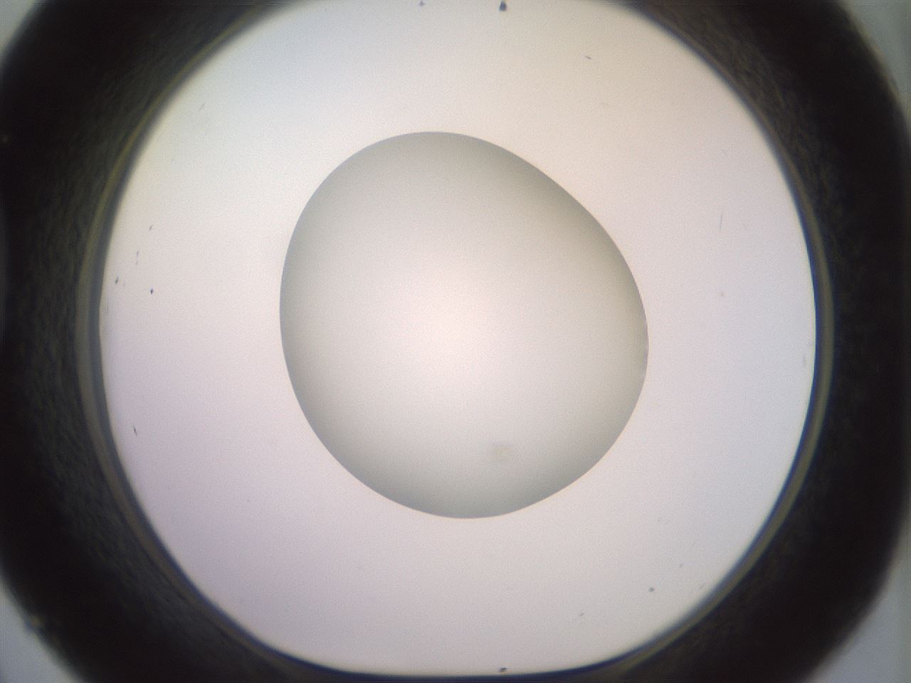 folderID492_plateID2492_batchID12062_wellNum45_profileID1_d1_r187144_ef.jpg