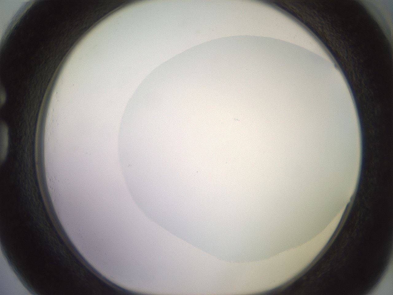 folderID492_plateID2492_batchID12062_wellNum73_profileID1_d1_r187172_ef.jpg
