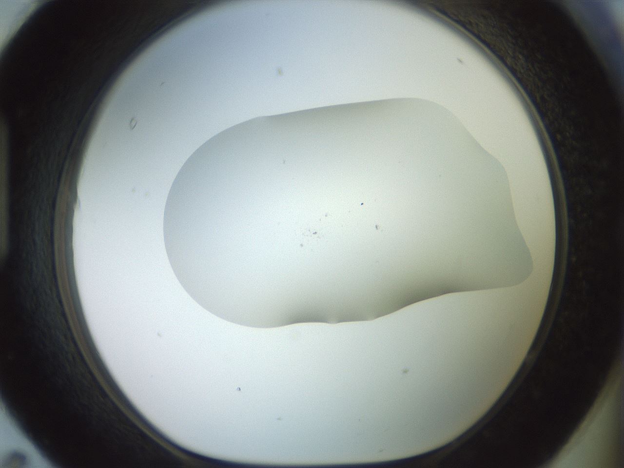 folderID492_plateID2492_batchID12062_wellNum95_profileID1_d1_r187194_ef.jpg