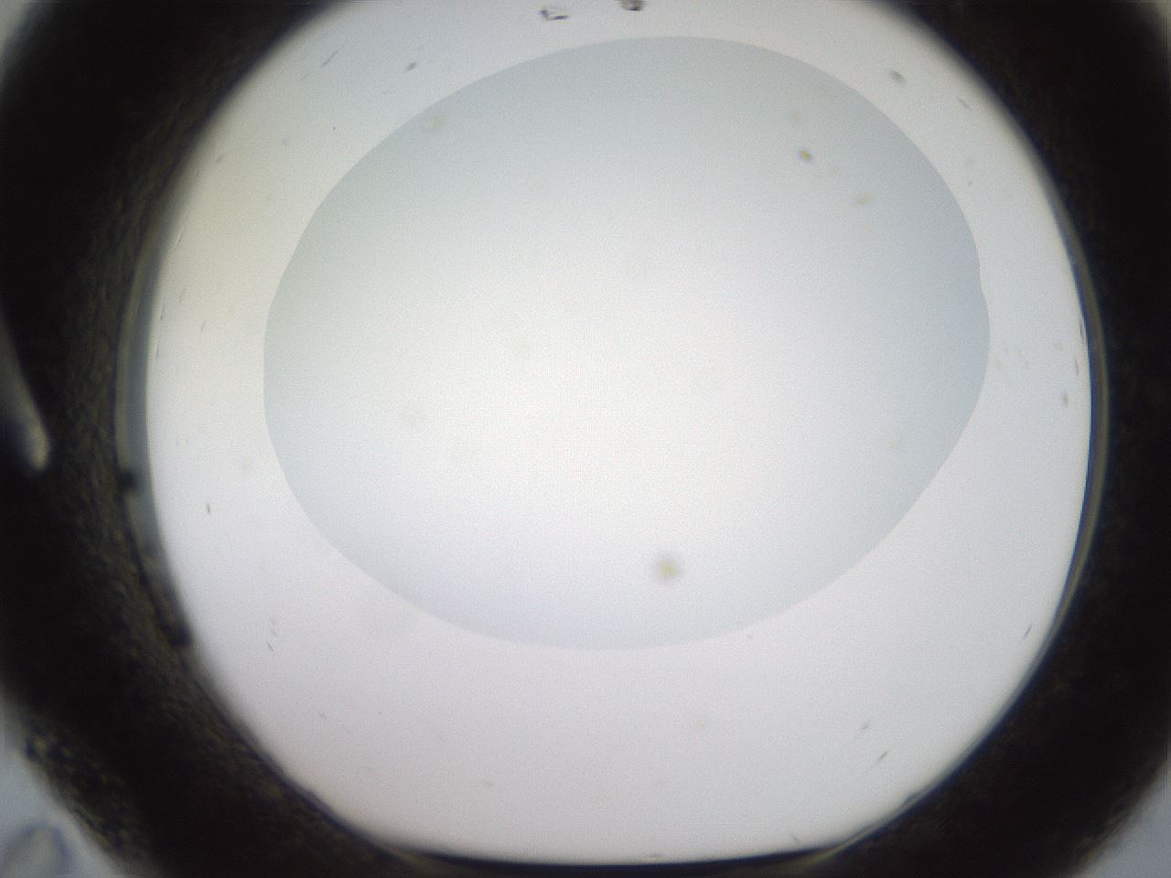 folderID493_plateID2493_batchID12067_wellNum11_profileID1_d1_r187398_ef.jpg